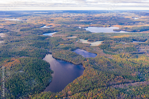 Finland landscape from the air with drone, lakes and pine forest © M.V.schiuma