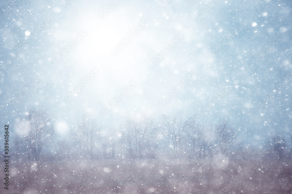 Obraz premium first snow in the park abstract new year view