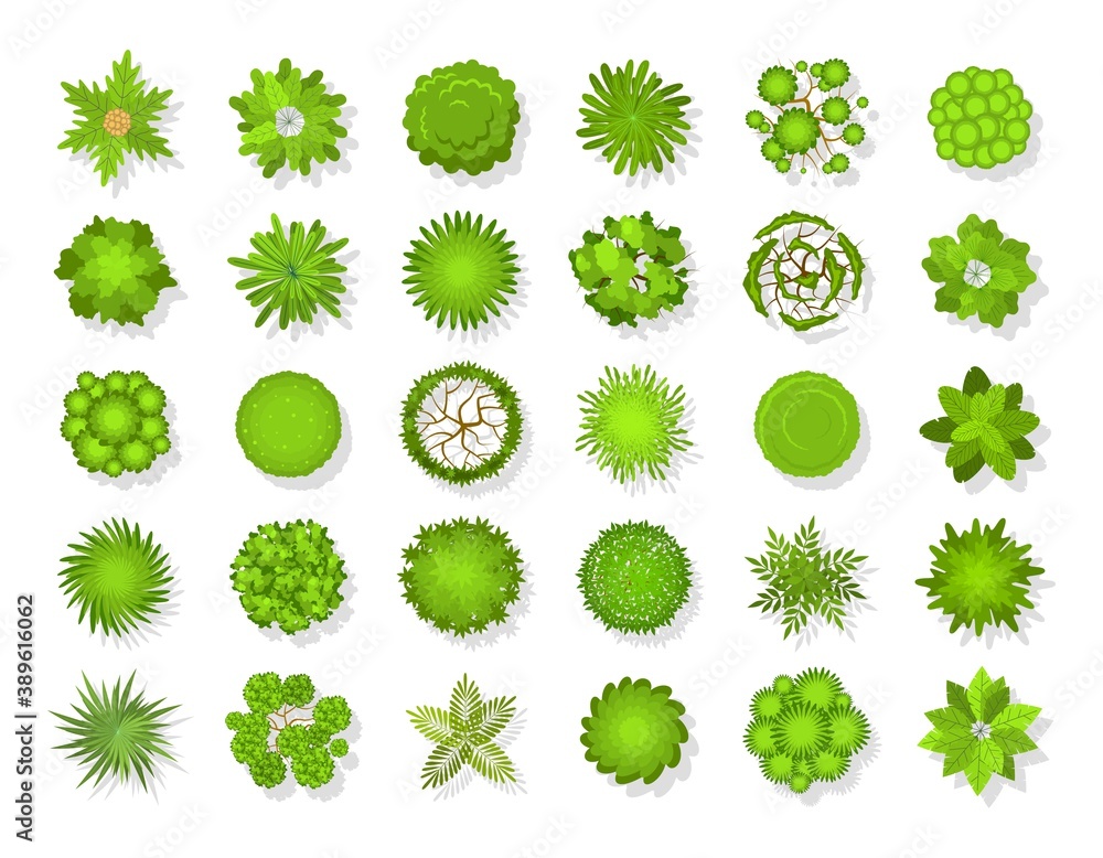 Top view tree landscape. Plants and trees icons, summer green planting organic eco symbol set spring park and forest modern ecological objects collection cartoon vector illustration Top view tree landscape. Plants and trees icons, summer green planting organic eco symbol set spring park and forest modern ecological objects collection cartoon vector illustration