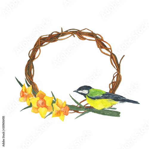 Spring wreath with titmouse bird and daffodils isolated on white background. Watercolor hand drawing illustration. For card, poster, print, design. Yellow spring flower frame. Copy space. photo