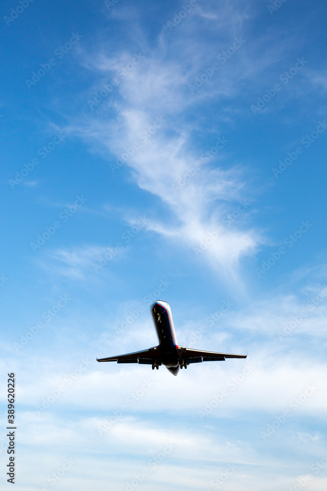 Fototapeta premium 飛行機