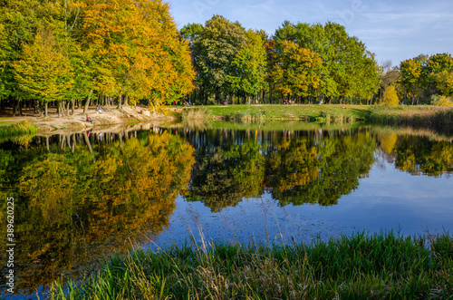 Landscape with autumn park in the sunny day. Yellow and green trees are displayed with reflection on the lake.