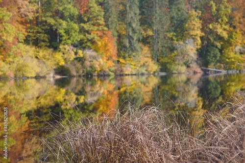 Autumnal Reflections in the Lake. High quality photo