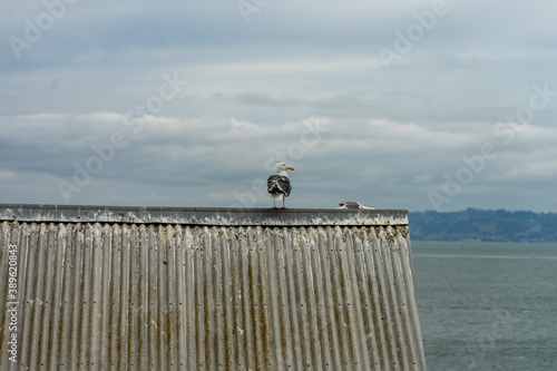 Alcatraz Jail, Alcatraz Island