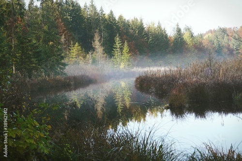 Early Morning Mists in October. High quality photo