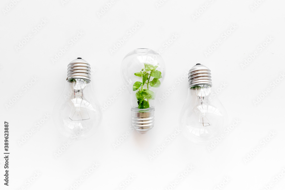 Green energy eco concept with grass in bulb, top view