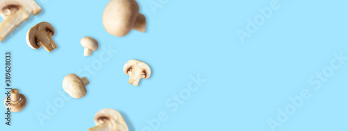 Mushrooms and champignons pieces and whole fly in space on a blue background. Levitation, healthy vegetarian food. Free space for text, banner.