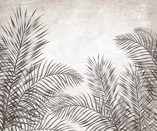 Obraz na płótnie paproć liść palmowy liści liść