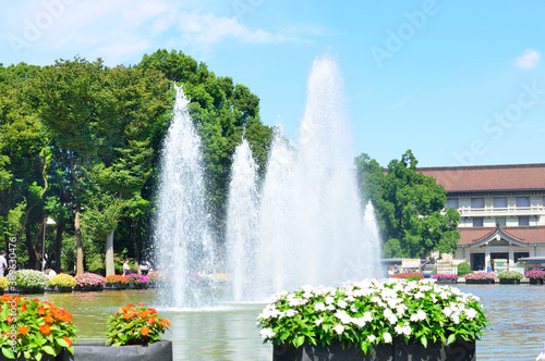 上野公園の噴水と博物館