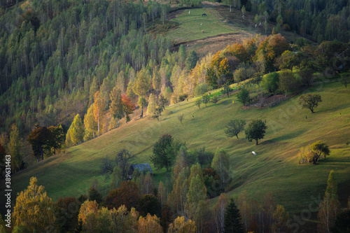 Autumn rural scene of the Romanian village in Transylvania, at the foot of the Carpathian Mountains