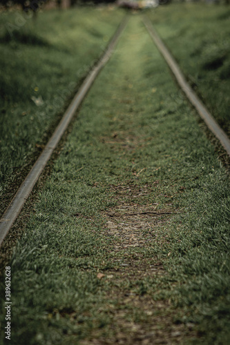 el camino del ferrocarril viejo 