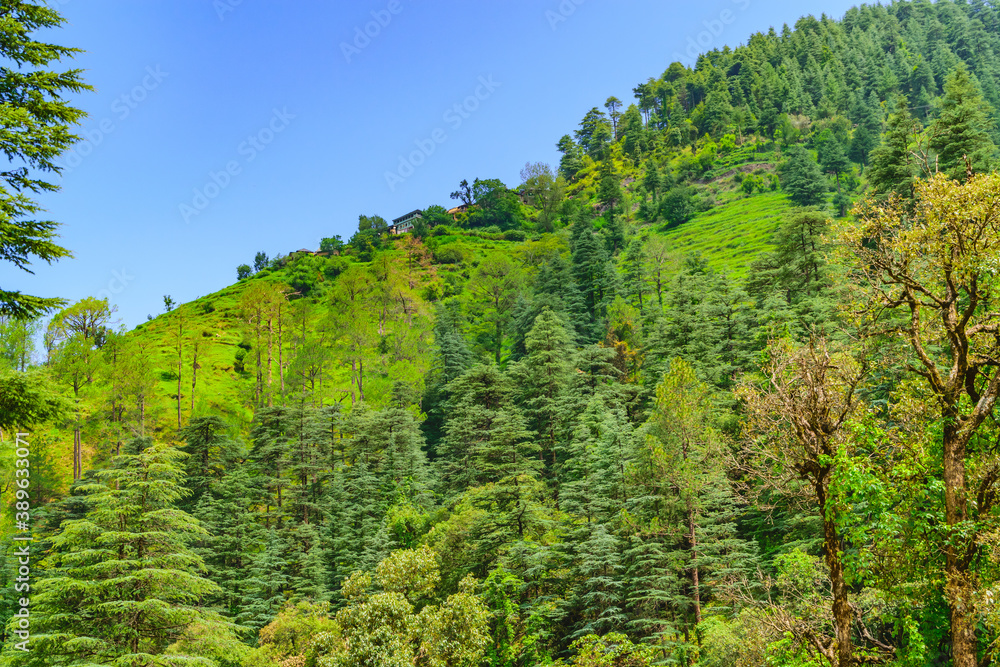 View enroute to Prashar Lake trekk trail through river bed. It is located at a height of 2730 m above sea level surrounded by lesser himalayas peaks near Mandi, Himachal Pradesh, India.