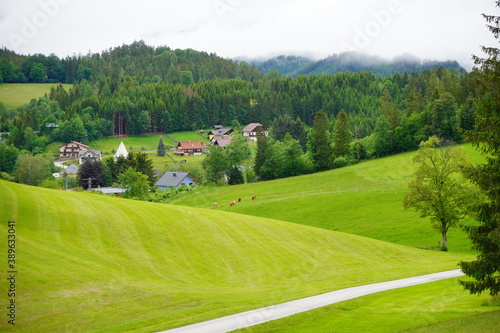 An einem wolkigen Morgen im bewaldeten Dorf Via Sacra in Niederösterreich , gibt es viele Bäumen und eine breite grüne Wiese