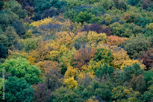 Fototapeta Naklejka Na Ścianę i Meble -  Aerial view of beautiful orange and red autumn forest