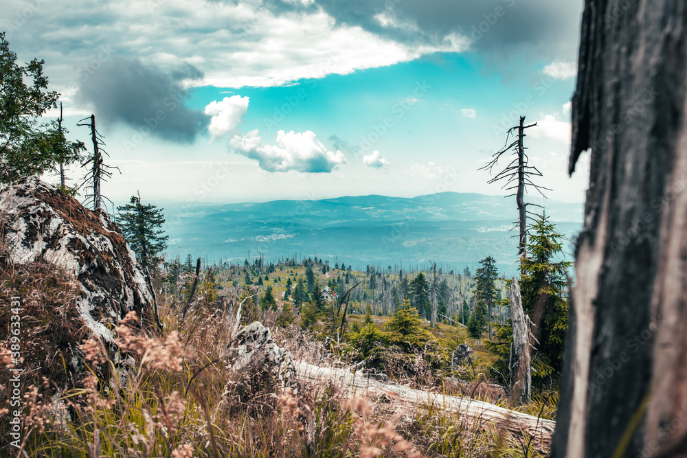 Rund um den Rachel im bayerischen Wald Rund um den Rachel im bayerischen Wald