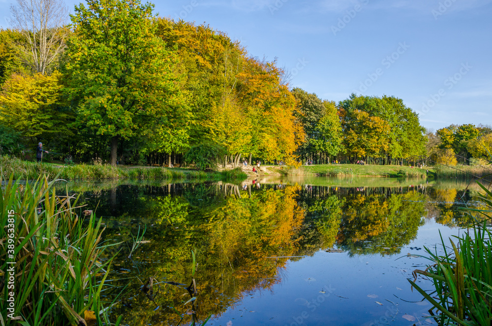 Landscape with autumn park in the sunny day. Yellow and green trees are displayed with reflection on the lake. Landscape with autumn park in the sunny day. Yellow and green trees are displayed with reflection on the lake.