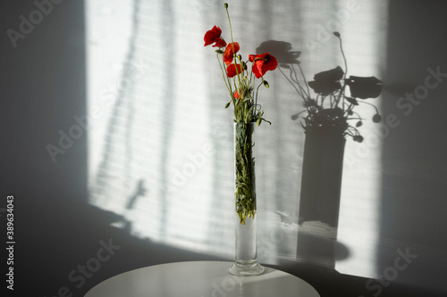 flowers in vase