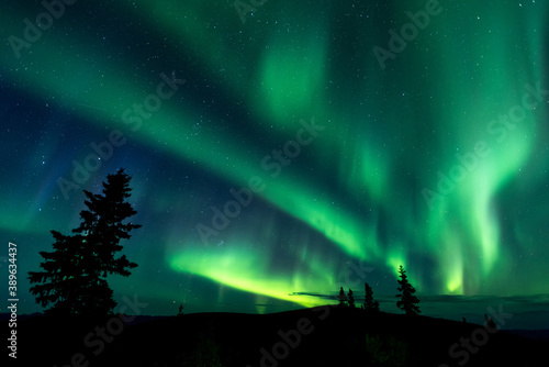 Northern lights on the starry sky at night in Yukon, Canada photo