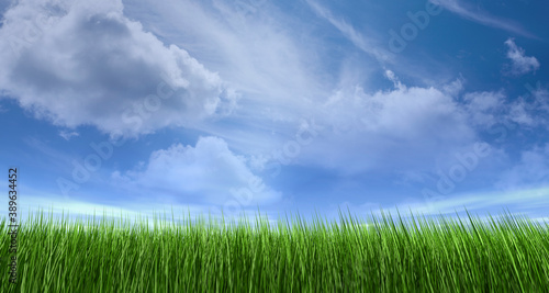 Shiny summer background with fresh green meadow grass and white transparent realistic fluffy cumulus clouds. 3D illustration.