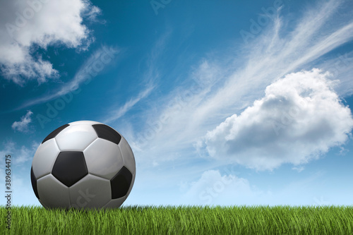White and black soccer ball lying in green grass with cloudy blue sky in background. 3D illustration.