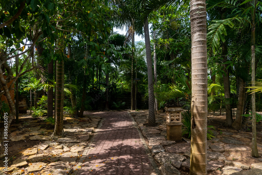 Obraz premium trees in the garden