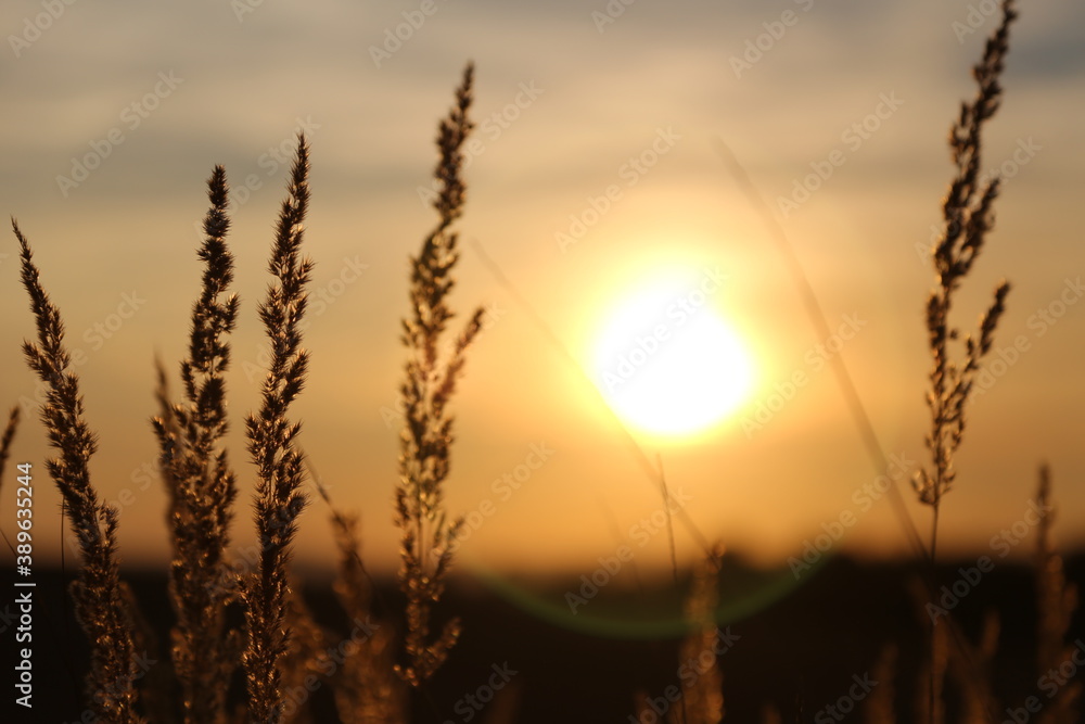 Sonnenuntergang Sonnenuntergang