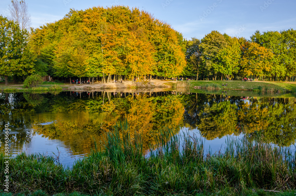 Landscape with autumn park in the sunny day. Yellow and green trees are displayed with reflection on the lake. Landscape with autumn park in the sunny day. Yellow and green trees are displayed with reflection on the lake.