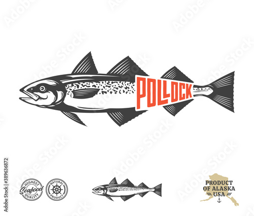 Vector Alaska pollock label isolated on a white background. Pollock fish illustration