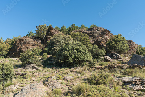 rock formations and vegetation in Sierra Nevada