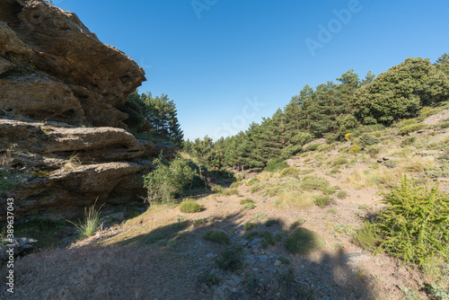 Ravine with vegetation in Sierra Nevada