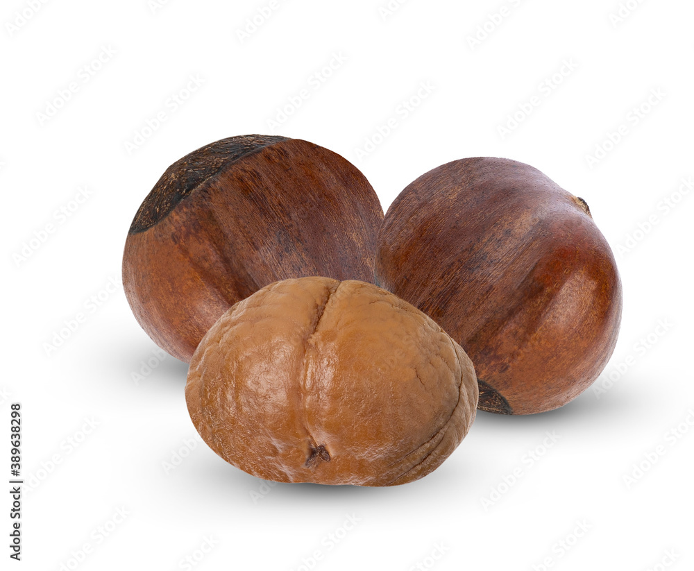 chestnuts isolated on white background. chestnuts isolated on white background.