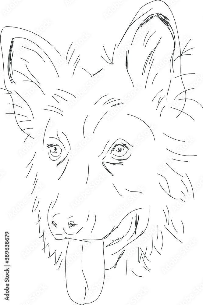 Dog on white background, vector line-art illustration. Dog on white background, vector line-art illustration.