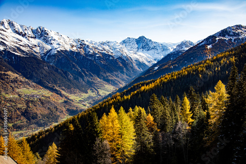 Autumn colours of the forests and mountains in the Swiss Alps of Valais