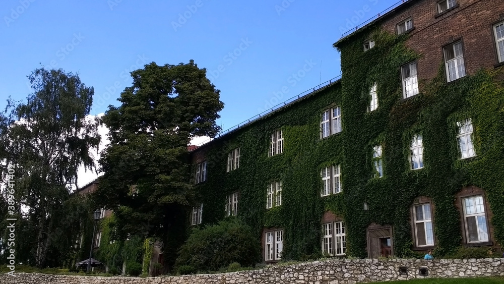 House covered with vines. Wawel Royal Castle historic center in the city of Krakow. Planty Park (planty krakowskie). Poland. Europe House covered with vines. Wawel Royal Castle historic center in the city of Krakow. Planty Park (planty krakowskie). Poland. Europe