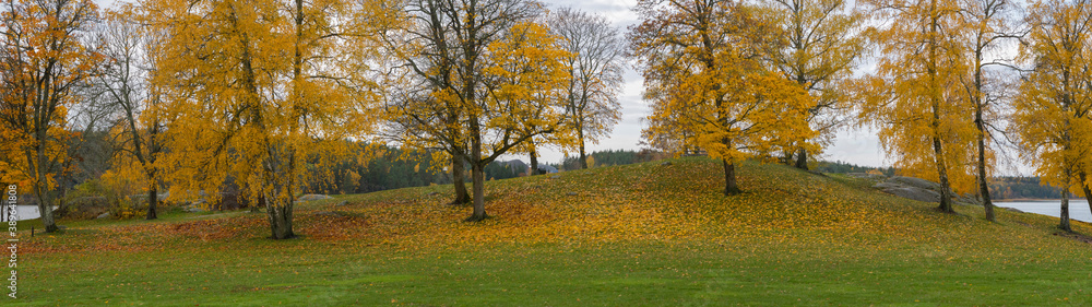 Color full autumn landscape in the district Bromma in Sweden