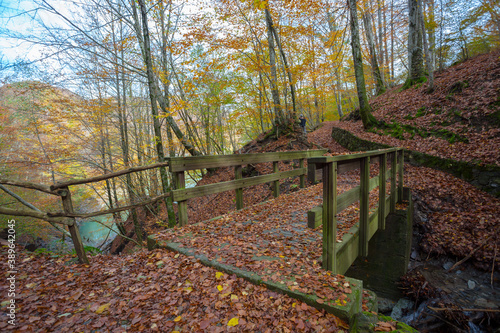 Wooden bridge on the pathway of the lake of Brugneto in autumn, province of Genoa, Antola Park, Italy photo