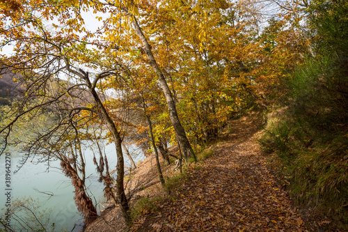 Fototapeta Naklejka Na Ścianę i Meble -  Pathway of the lake of Brugneto in autumn, province of Genoa, Antola Park, Italy