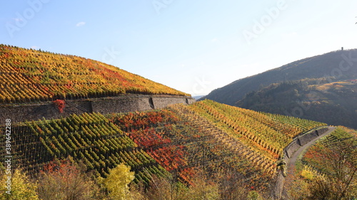 Bunte Weinberge im Herbst über dem Ahrtal bei herrlichem Sonnenschein