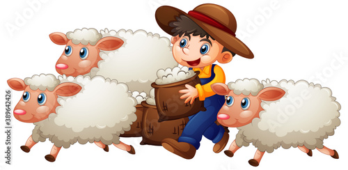 A boy with three cute sheep on white background
