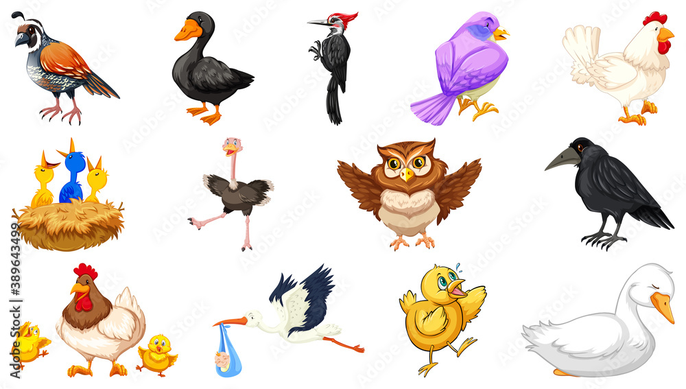 Fototapeta premium Set of different birds cartoon style isolated on white background