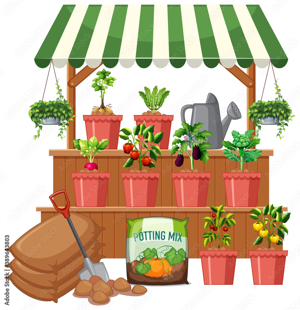 Obraz premium Plant shop with many vegetable tree on white background