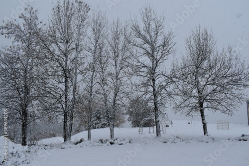  First snow in the park, Sainte-Apolline