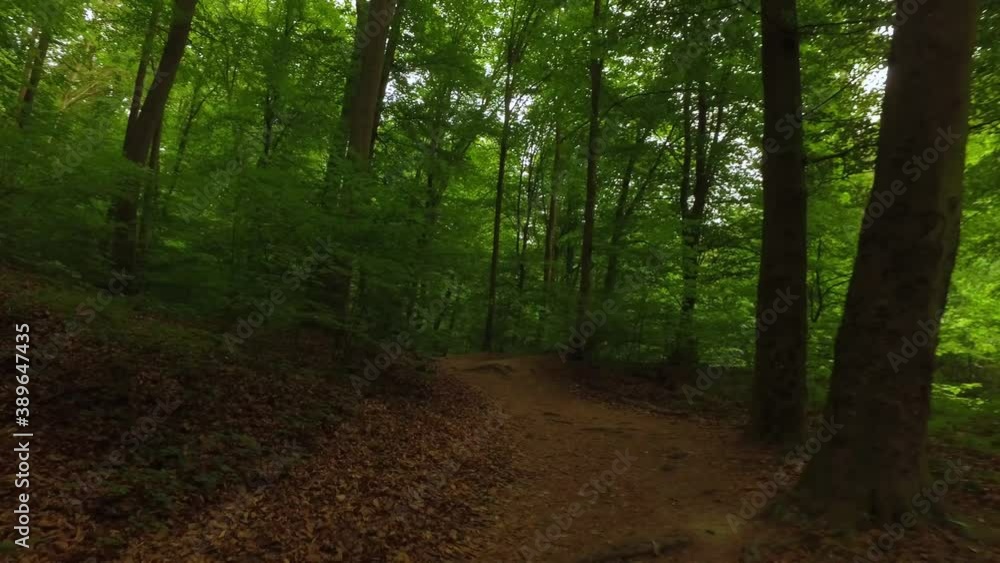Marked trail, creek at Visegrad Mountains. Ram Gorge, Domos, Hungary, Europe 4K Marked trail, creek at Visegrad Mountains. Ram Gorge, Domos, Hungary, Europe 4K