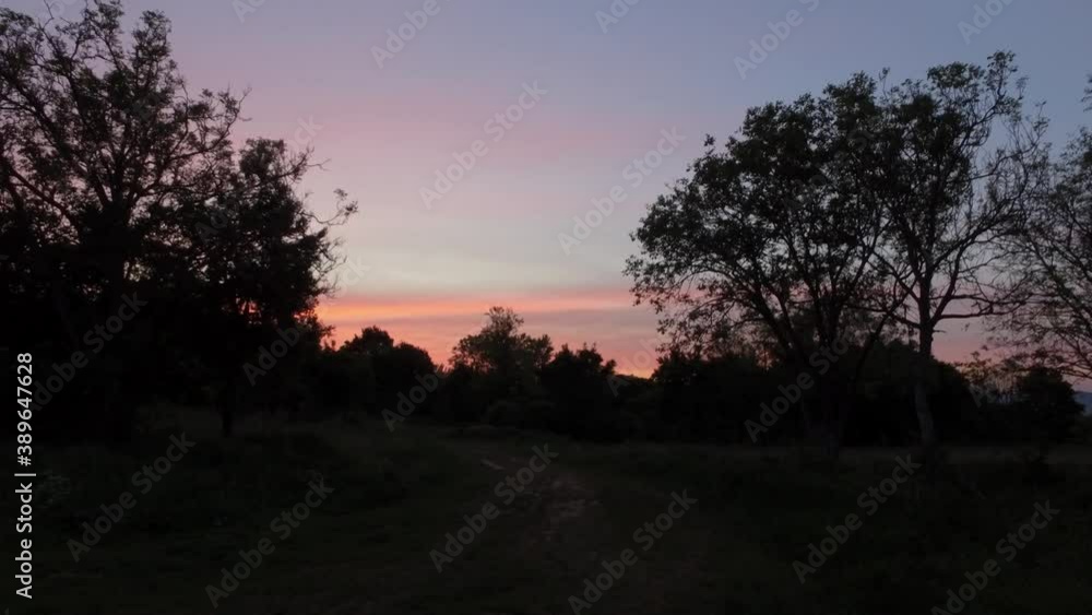 Walking along at dirt road. Nature at sunset. Hand held. Hungary, Europe. 4K Walking along at dirt road. Nature at sunset. Hand held. Hungary, Europe. 4K