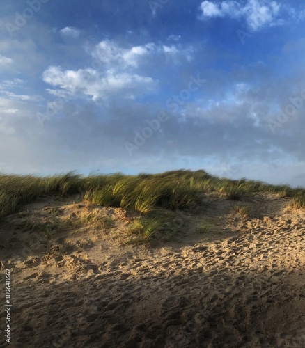 Dunes. North sea coast. Julianadorp. Netherlands. © A