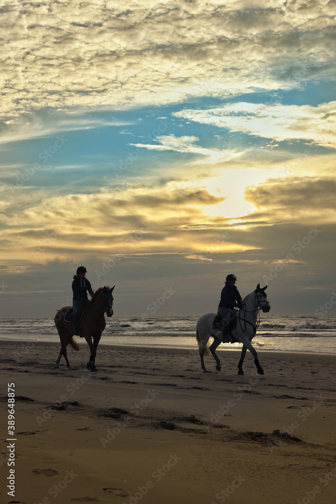 Horse riding at the beach. North sea coast. Julianadorp. Netherlands. Sunset