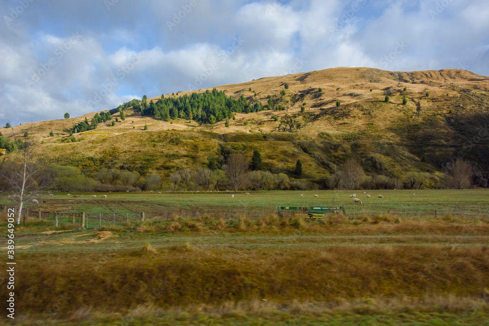 Obraz premium 丘陵地帯の牧場