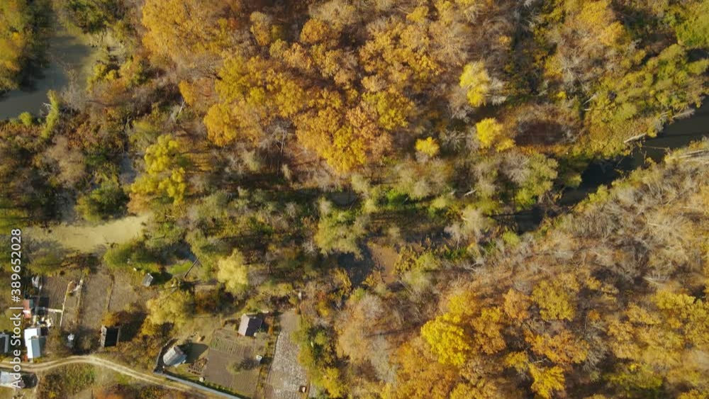 forest autumn nature of the Russian Federation forest autumn nature of the Russian Federation