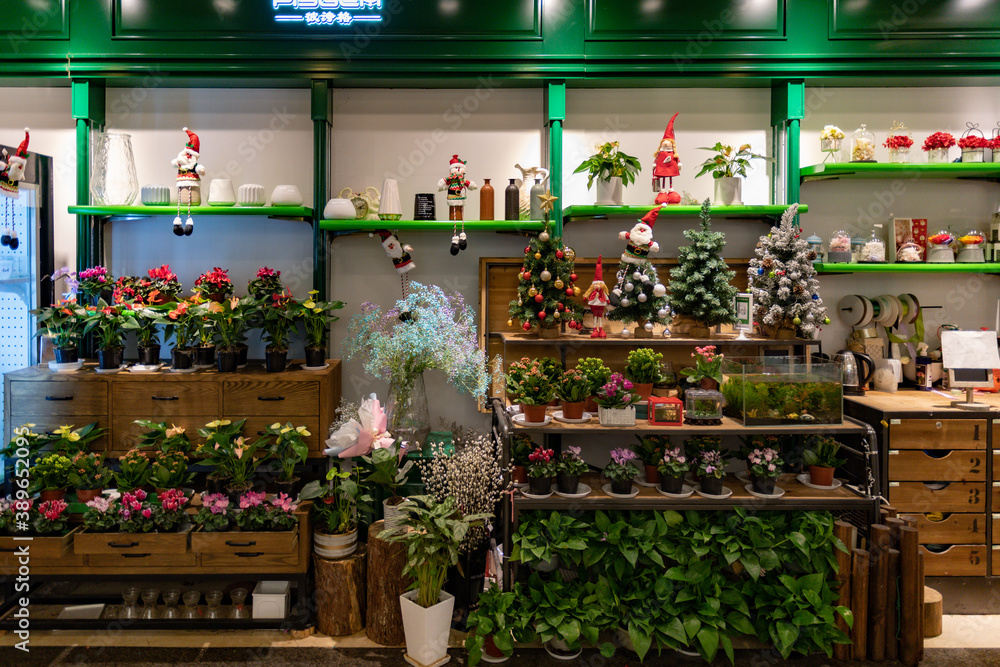 Christmas sale in floristic stall. Retail display of floristic stall with mini Christmas trees and fresh plants in flower pots. Christmas sale of floral arrangements in Shanghai, China