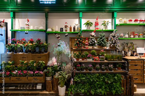 Christmas sale in floristic stall. Retail display of floristic stall with mini Christmas trees and fresh plants in flower pots. Christmas sale of floral arrangements in Shanghai, China © Ninel